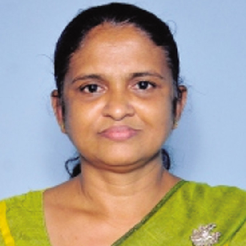 Early Childhood Development Centers